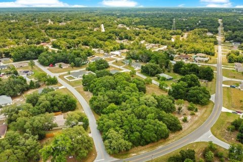 Land in Ocala, Florida № 2165398 - photo 9