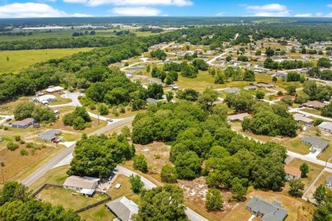 Land in Ocala, Florida № 2165398 - photo 17