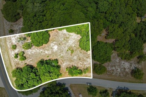 Land in Ocala, Florida № 2165398 - photo 12