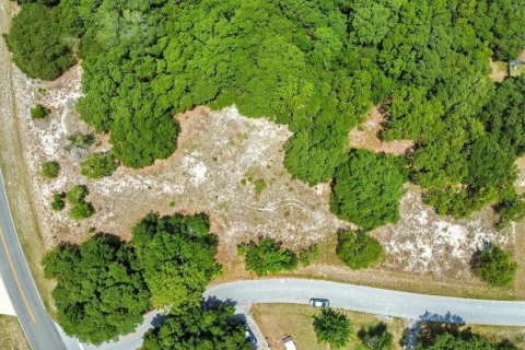 Land in Ocala, Florida № 2165398 - photo 5