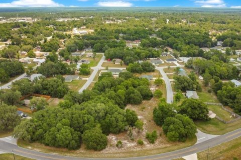 Land in Ocala, Florida № 2165398 - photo 10