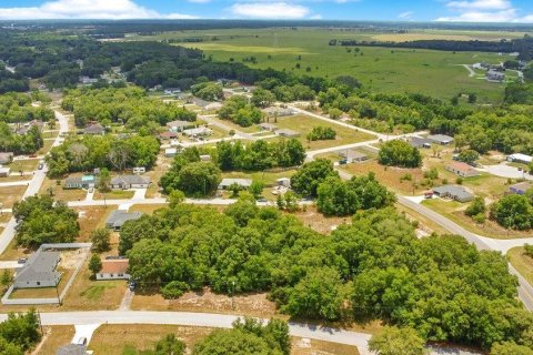 Land in Ocala, Florida № 2165398 - photo 8