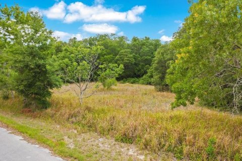 Land in Ocala, Florida № 2165398 - photo 2