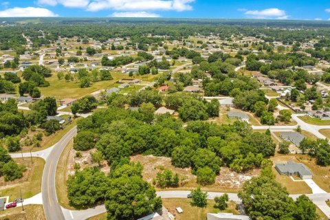 Land in Ocala, Florida № 2165398 - photo 15