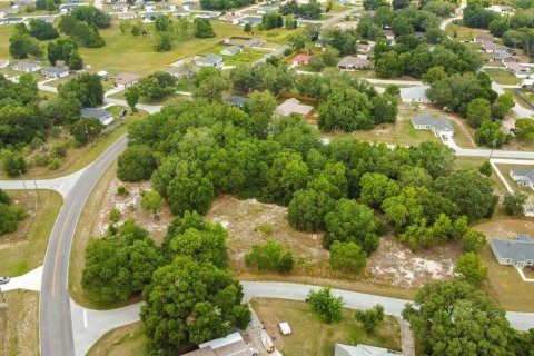 Land in Ocala, Florida № 2165398 - photo 7