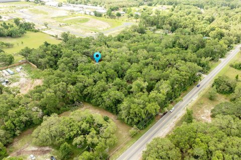 House in Apopka, Florida 3 bedrooms, 244.52 sq.m. № 1771617 - photo 26
