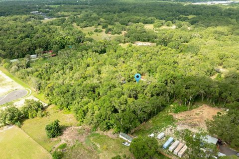 House in Apopka, Florida 3 bedrooms, 244.52 sq.m. № 1771617 - photo 28