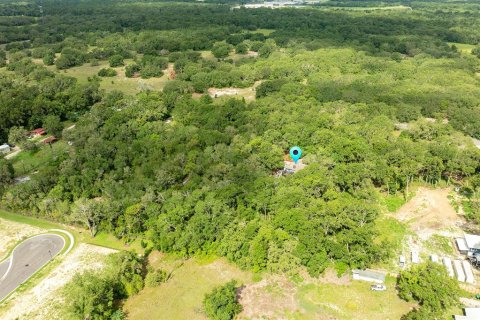House in Apopka, Florida 3 bedrooms, 244.52 sq.m. № 1771617 - photo 29