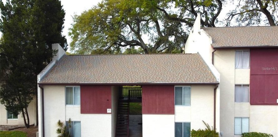 Condo à Tampa, Floride, 1 chambre № 1905215