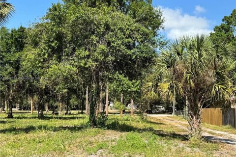 Купить земельный участок в Лабель, Флорида № 1957635 - фото 4