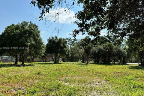 Купить земельный участок в Лабель, Флорида № 1957635 - фото 6