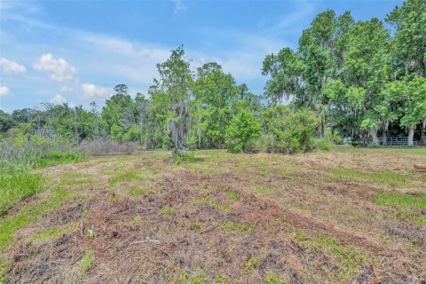 Terreno en venta en Osteen, Florida № 2096936 - foto 6