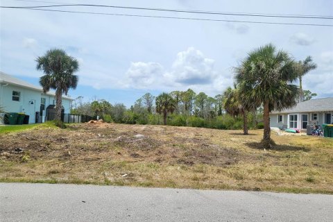 Land in Port Charlotte, Florida № 1681486 - photo 1