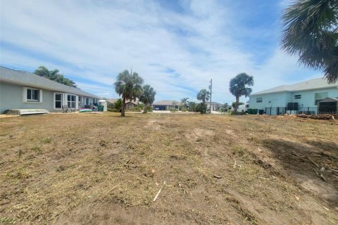 Land in Port Charlotte, Florida № 1681486 - photo 9