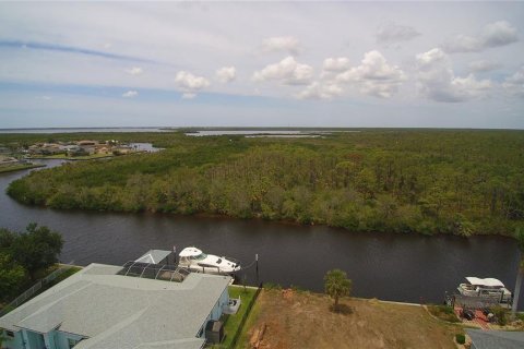 Land in Port Charlotte, Florida № 1681486 - photo 13