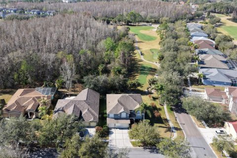 Villa ou maison à Tampa, Floride 5 chambres, 365.38 m2 № 2111123