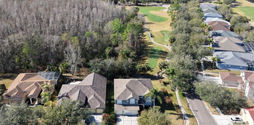 House in Tampa, Florida 5 bedrooms, 365.38 sq.m. № 2111123