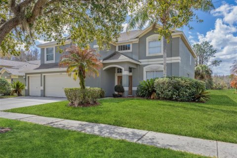 House in Tampa, Florida 5 bedrooms, 365.38 sq.m. № 2111123 - photo 2