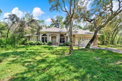 Villa ou maison à vendre à Spring Hill, Floride: 3 chambres, 208.29 m2 № 1917984 - photo 1