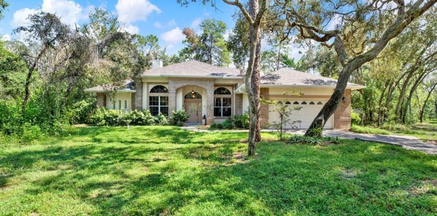Villa ou maison à Spring Hill, Floride 3 chambres, 208.29 m2 № 1917984