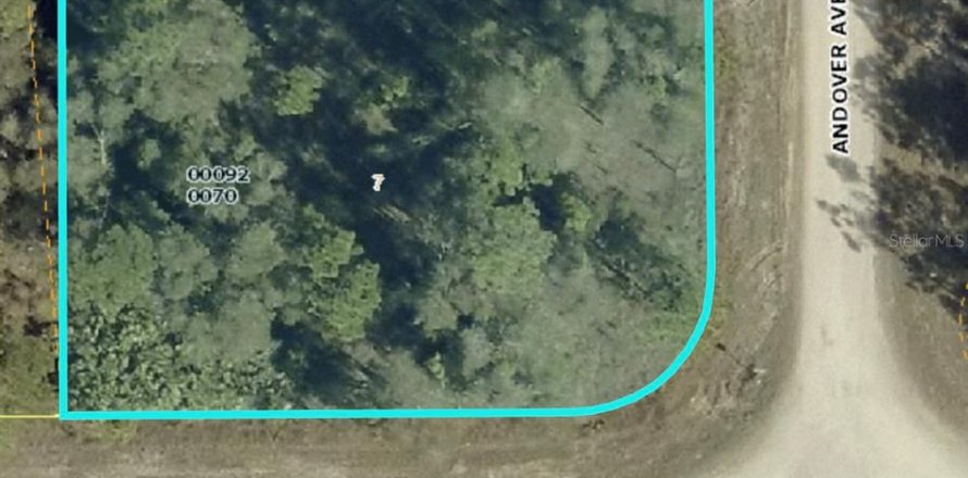 Terreno en Lehigh Acres, Florida № 2160052