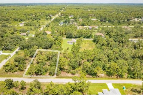 Land in Lehigh Acres, Florida № 2164314 - photo 2