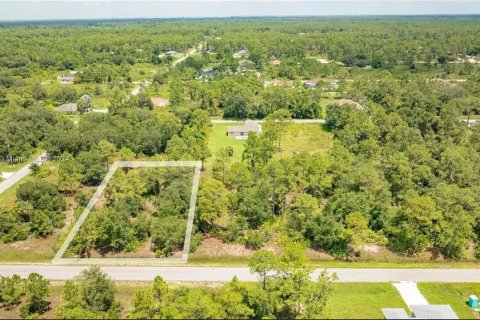Land in Lehigh Acres, Florida № 2164314 - photo 4