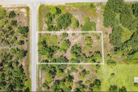 Land in Lehigh Acres, Florida № 2164314 - photo 3