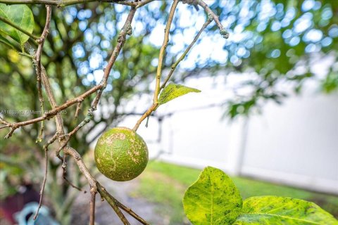 House in Port St. Lucie, Florida 3 bedrooms, 182.27 sq.m. № 1932815 - photo 28