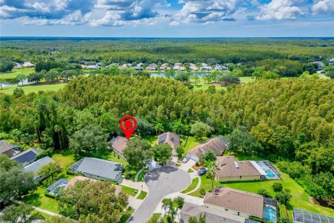 House in Lutz, Florida 3 bedrooms, 183.11 sq.m. № 2354552 - photo 16