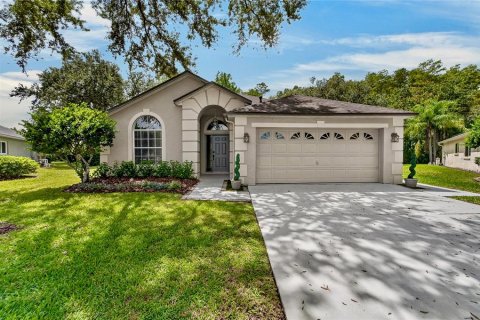 House in Lutz, Florida 3 bedrooms, 183.11 sq.m. № 2354552