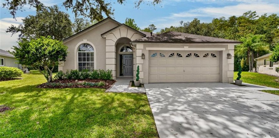 House in Lutz, Florida 3 bedrooms, 183.11 sq.m. № 2354552