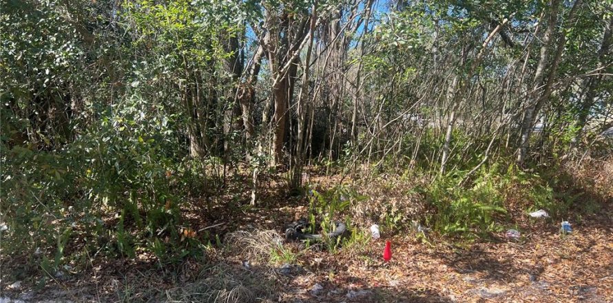 Land in Leesburg, Florida № 2206020