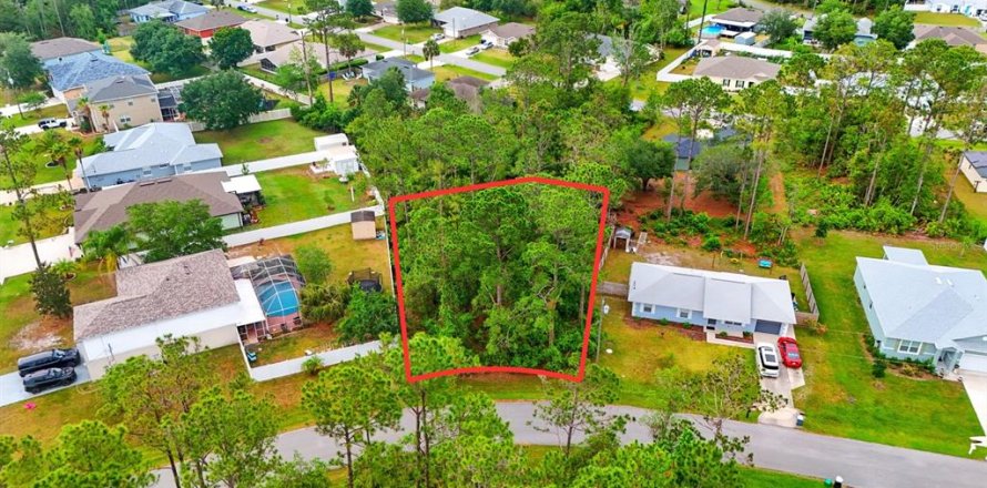 Terreno en Palm Coast, Florida № 1685074