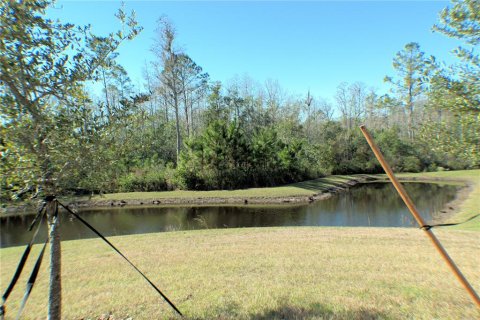 House in Land O' Lakes, Florida 2 bedrooms, 162.3 sq.m. № 1555364 - photo 2