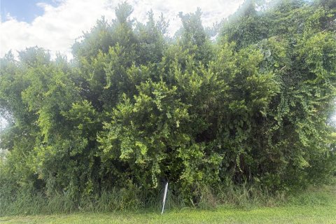 Land in Avon Park, Florida № 2361503