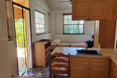 Appartement à louer à Hollywood, Floride: 51.1 m2 № 2056797 - photo 3