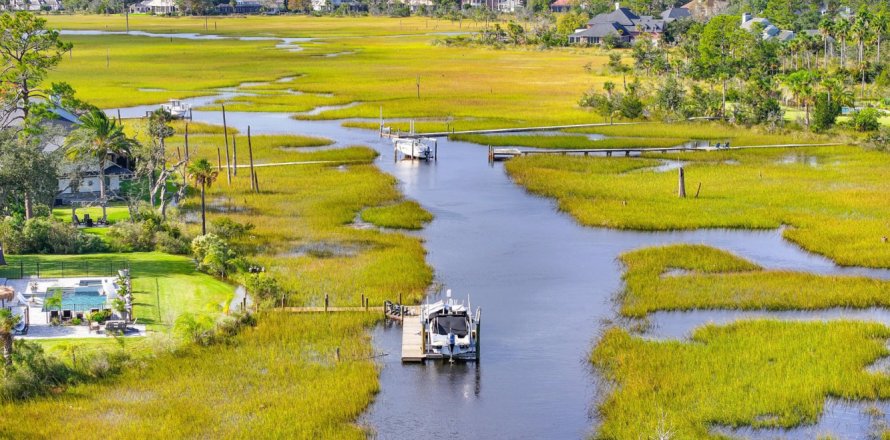 Casa en Ponte Vedra Beach, Florida 4 dormitorios, 412.58 m2 № 918037