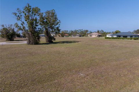 Land in Punta Gorda, Florida № 2162339 - photo 8