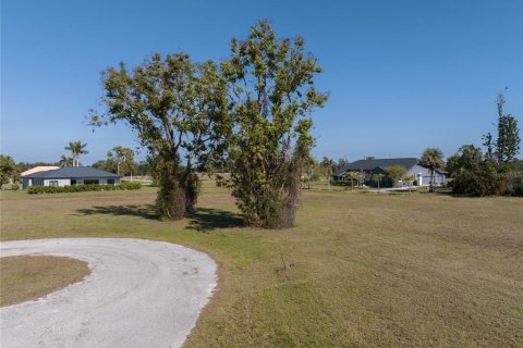 Land in Punta Gorda, Florida № 2162339 - photo 17