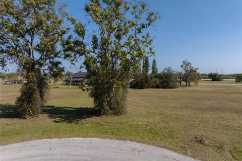 Land in Punta Gorda, Florida № 2162339 - photo 10