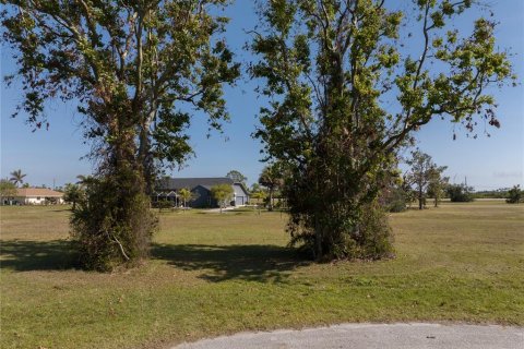 Land in Punta Gorda, Florida № 2162339 - photo 9
