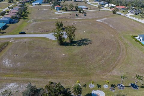 Land in Punta Gorda, Florida № 2162339 - photo 4