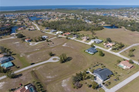 Land in Punta Gorda, Florida № 2162339 - photo 7