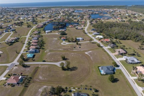Land in Punta Gorda, Florida № 2162339 - photo 6