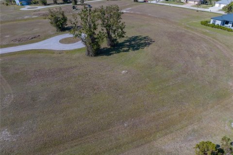 Land in Punta Gorda, Florida № 2162339 - photo 3