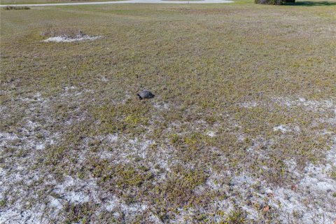 Land in Punta Gorda, Florida № 2162339 - photo 2