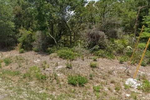 Land in Paisley, Florida № 2160746 - photo 2