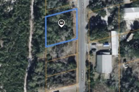 Land in Paisley, Florida № 2160746