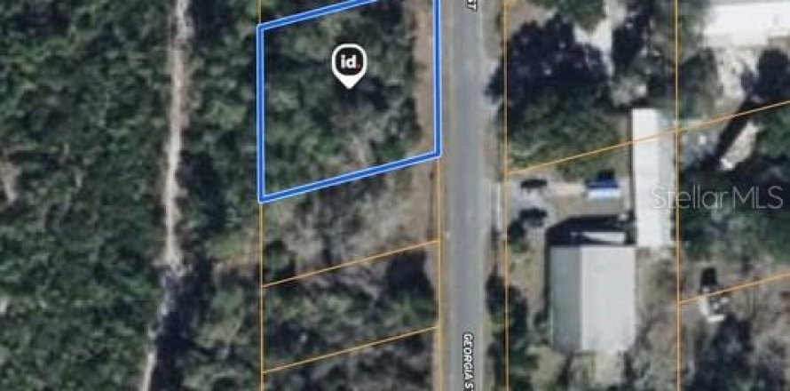 Land in Paisley, Florida № 2160746